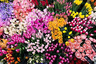 爆改兵装机甲，会让机甲题材重铸荣光吗？